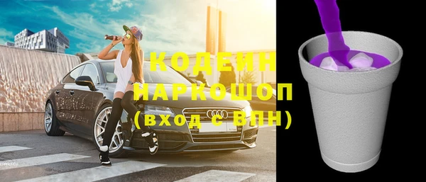 мдпв Каменногорск