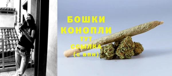 гидропоника Каменка
