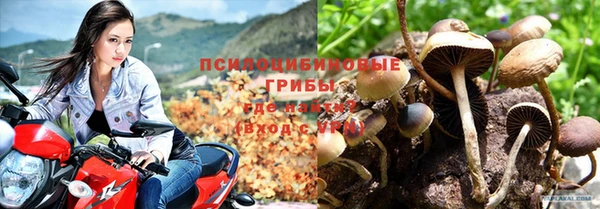 мдпв Каменногорск